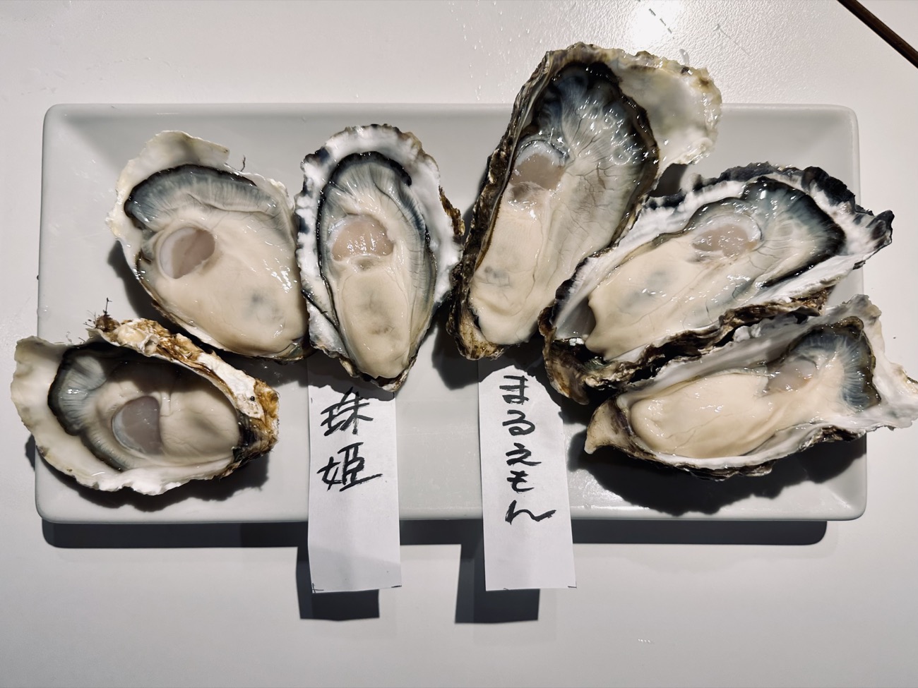 Fresh oysters on ice served alongside a bottle of sake